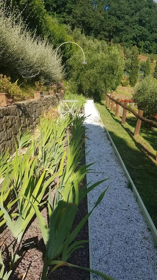 Villa Petrognano Petrognano  0*, Petrognano (Lucca)