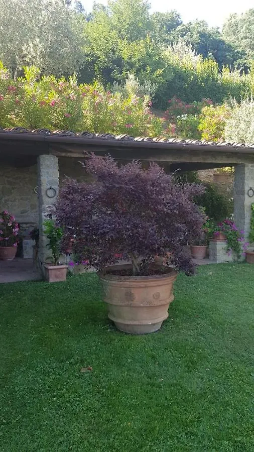 Villa Petrognano Petrognano  Vakantiehuis