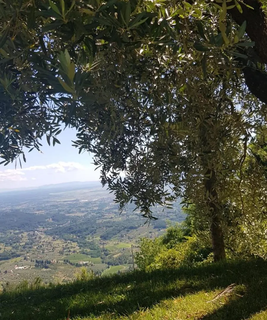 Villa Petrognano Petrognano  Italië